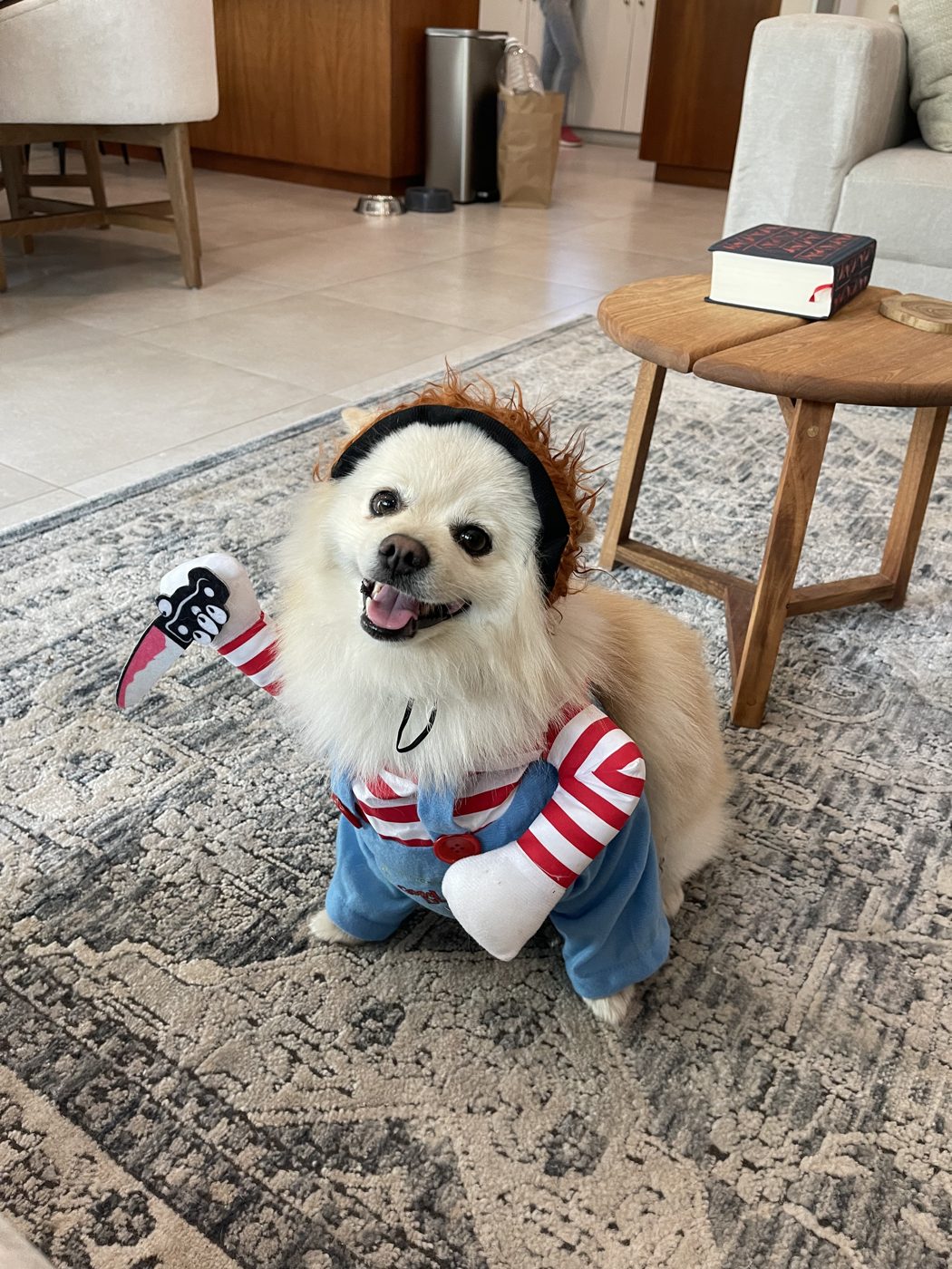 Napo disfrazado en Halloween